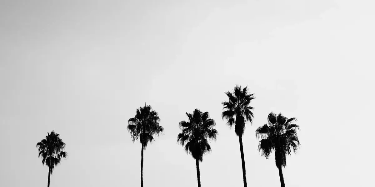 Growth and Development